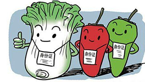 标准化生产＋专业化监管 山东打出组合拳，保障农产品质量安全