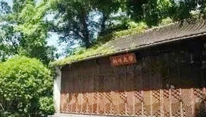 托普云农获得阿里系湖畔基金千万级人民币融资