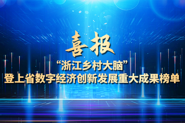 省数字经济创新发展重大成果榜单：浙江乡村大脑入选
