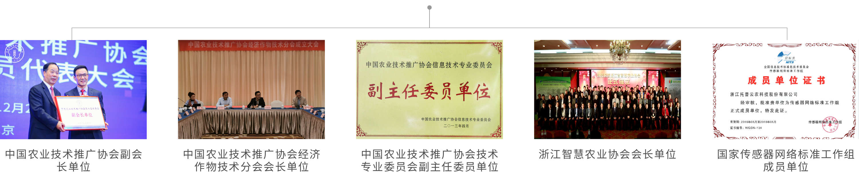 Zhejiang Top Yunnong Technology Co., Ltd.