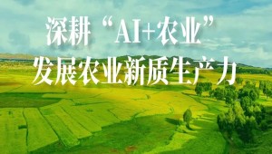 农业人工智能受关注！国务院研究室农村司副司长杨春悦一行莅临托普云农考察调研