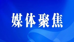 央视、人民网等权威媒体聚焦西湖龙井：托普云农“黑科技”点亮千年茶香智变之路